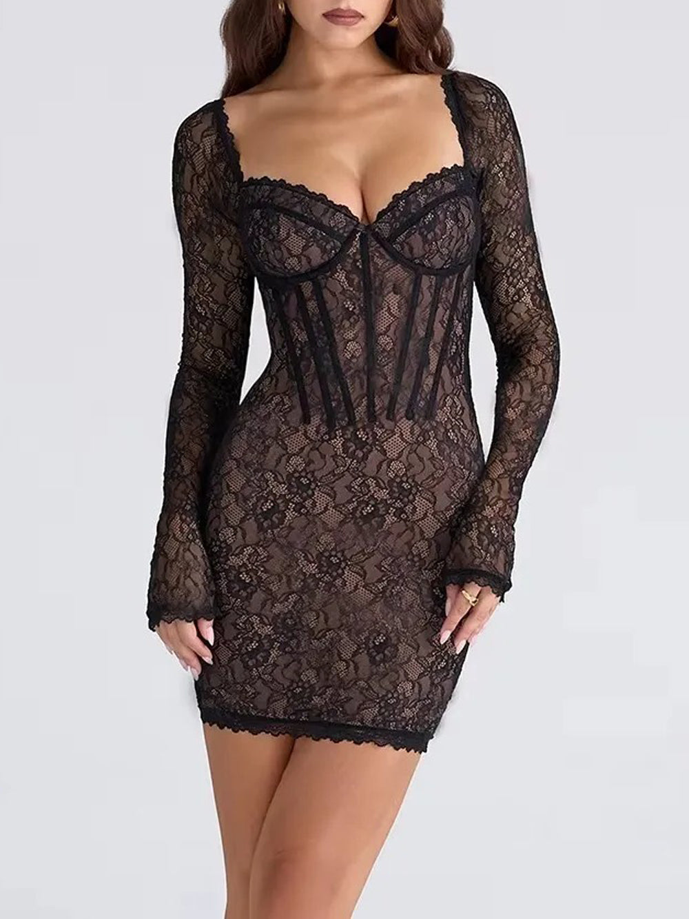 Elara Lace Sheer Mini Dress