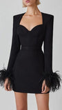 Thea Feather Bodycon Mini Dress - Fashion Pov